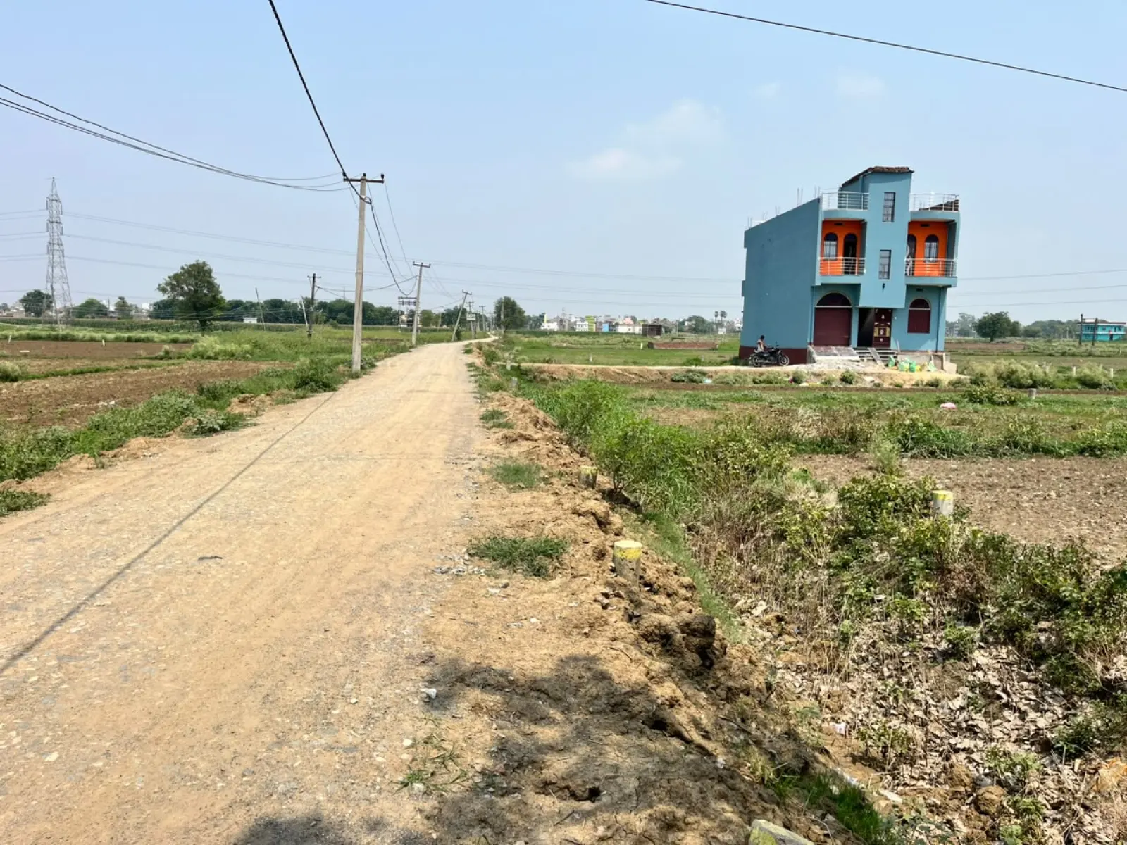Live property